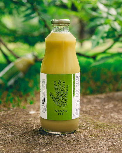Bebida de Arroz & Erva Mate 1L