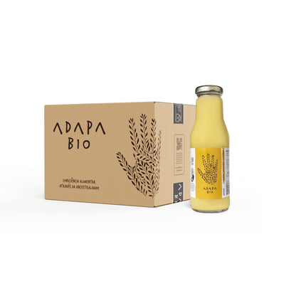 Bebida de Arroz + Cúrcuma & Gengibre 300ml