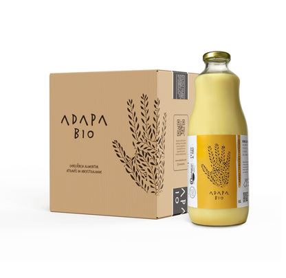 Bebida de Arroz + Cúrcuma & Gengibre 1L